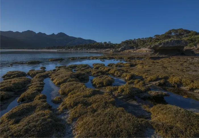Framed Print : Early morning just after dawn at Fotheringate beach, Flinders Island, Bass Strait, Tasmania, Australia Framed Print : Early morning just after dawn at Fotheringate beach, Flinders Island, Bass Strait, Tasmania, Australia