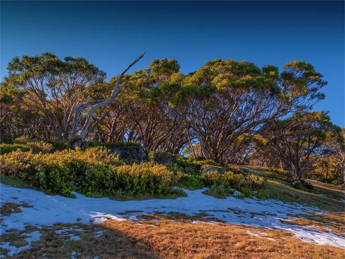 Framed Print : Early snow, Mount Baw Baw, west Gippsland