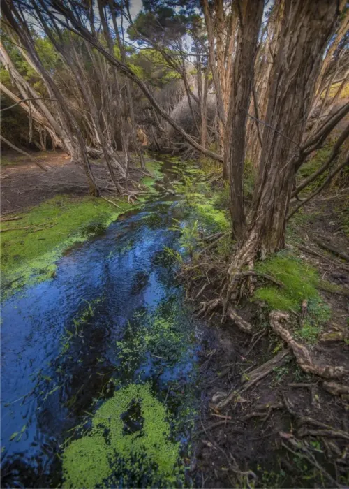 Framed Print : Edens creek, Palana, Flinders Island, Bass Strait, Tasmania, Australia