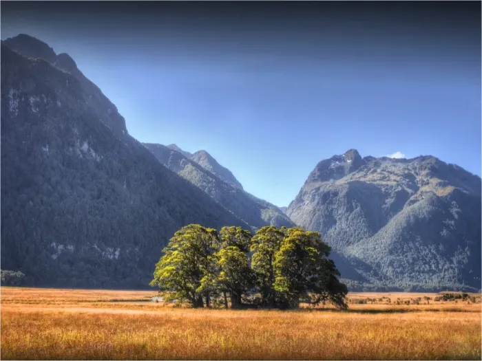 Framed Print : Eglinton Valley, south island, New Zealand Framed Print : Eglinton Valley, south island, New Zealand