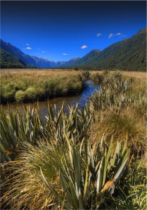 Framed Print : Eglinton Valley, south island, New Zealand Framed Print : Eglinton Valley, south island, New Zealand