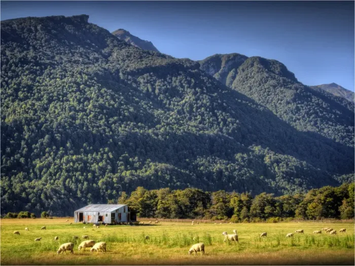 Framed Print : Eglinton Valley, south island, New Zealand Framed Print : Eglinton Valley, south island, New Zealand