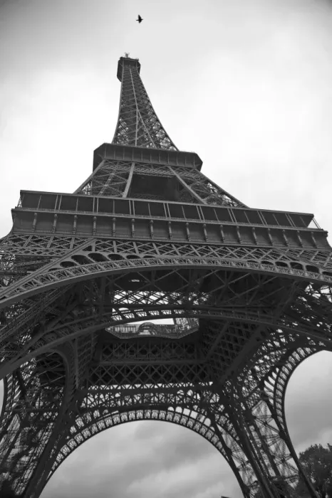 Framed Print : Eiffel Tower