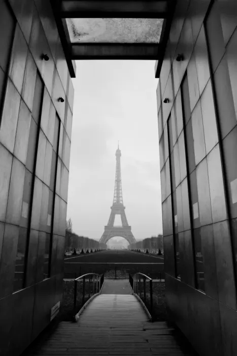 Framed Print : Eiffel Tower and wall for peace Framed Print : Eiffel Tower and wall for peace