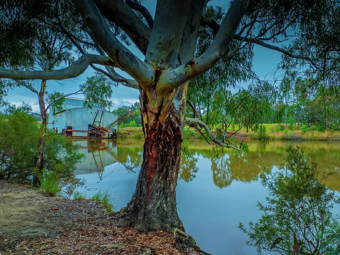 Framed Print : Eldorado and the historic gold dredging machine, Autumn, North Central Victoria, Australia