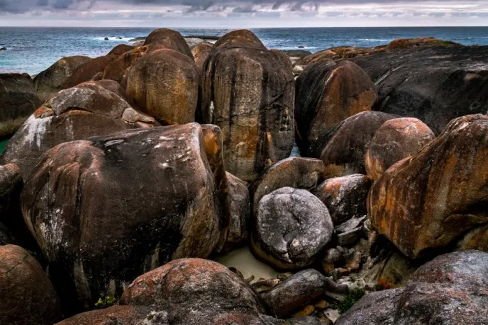 Framed Print : Elephant Rocks at William Bay Framed Print : Elephant Rocks at William Bay