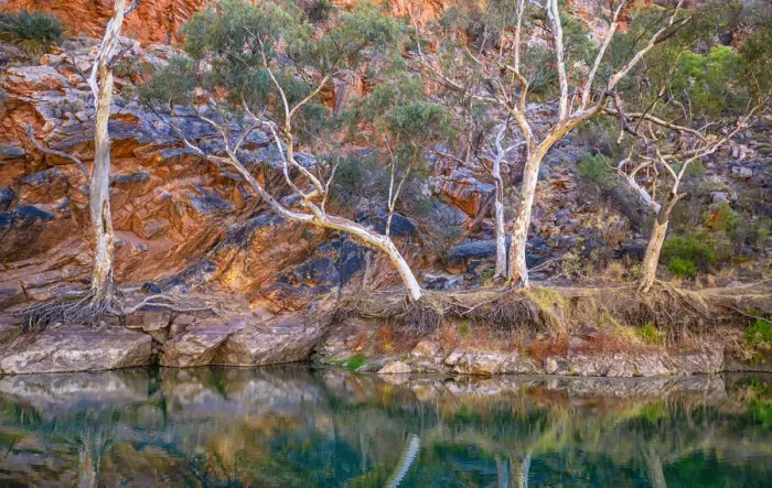Framed Print : Ellery Creek Big Hole