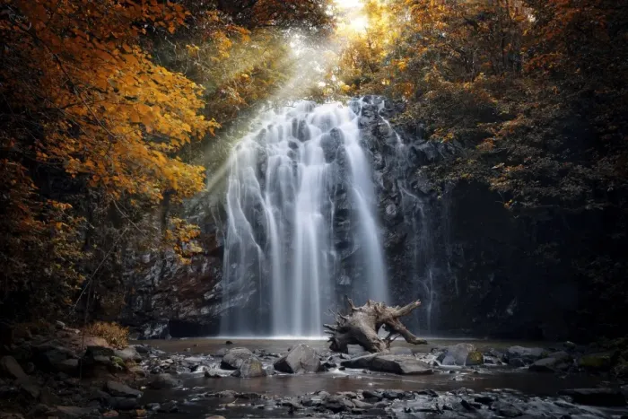 Framed Print : Ellinjaa Falls, Wooroonooran National Park, Millaa Millaa, Atherton Tablelands, Far North Queensland, Australia Framed Print : Ellinjaa Falls, Wooroonooran National Park, Millaa Millaa, Atherton Tablelands, Far North Queensland, Australia