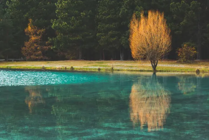 Framed Print : Emerald Green Lake