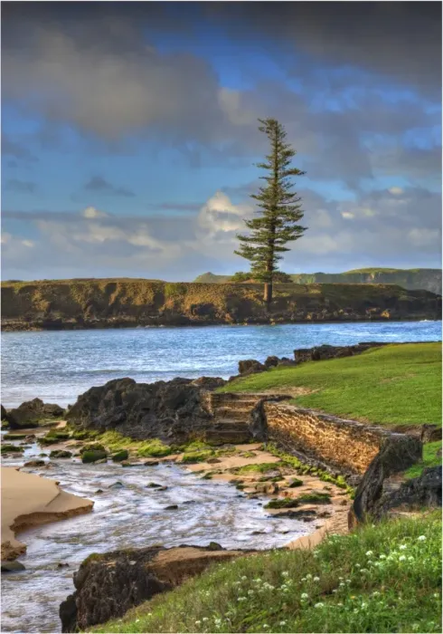 Framed Print : Emily bay. Beautiful Emily bay and view across to the Lone pine at Point Hunter