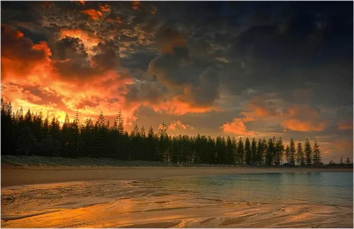 Framed Print : Emily bay dawn