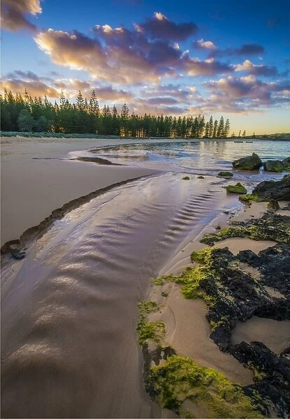 Emily bay dawn, Norfolk Island, south pacific ocean