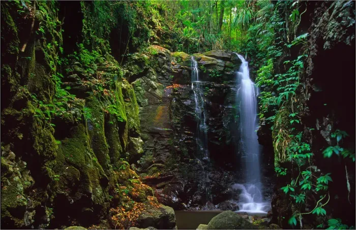 Framed Print : Enchanted falls, Mount Tamborine rainforest, Queensland, Australia