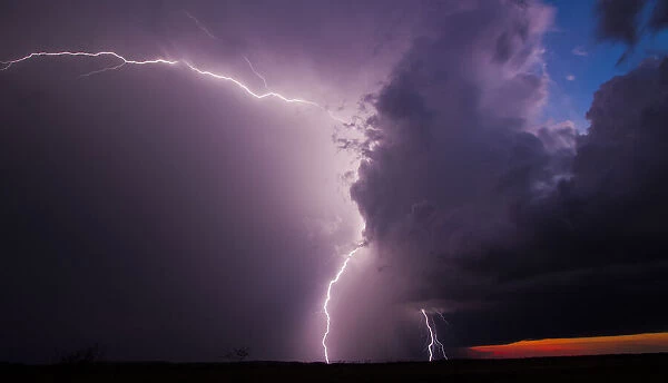 Back end lightning. Adelaide River Floodplain, Arnhem Highway, Northern Territory