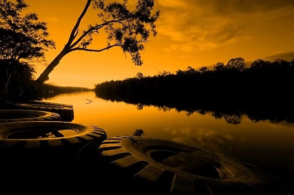 Estuary. Calm river in everglades at sunset of Australia