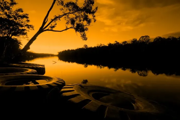 Framed Print : Estuary. Calm river in everglades at sunset of Australia Framed Print : Estuary. Calm river in everglades at sunset of Australia