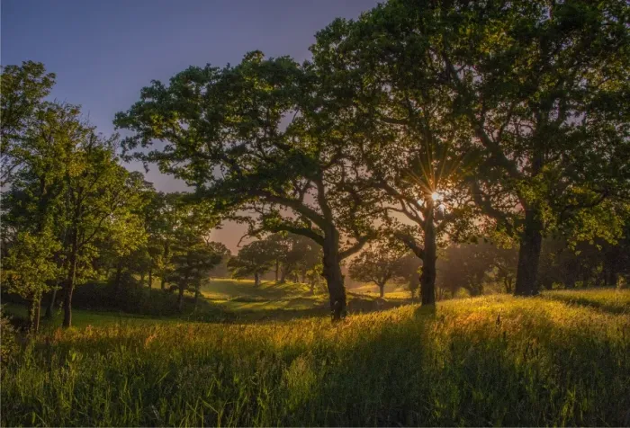 Framed Print : Evening light at Creech