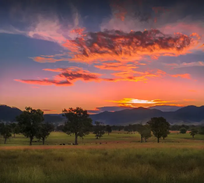 Framed Print : Evening light in the summer season near Corryong, in the lovely fertile farmland of Framed Print : Evening light in the summer season near Corryong, in the lovely fertile farmland of
