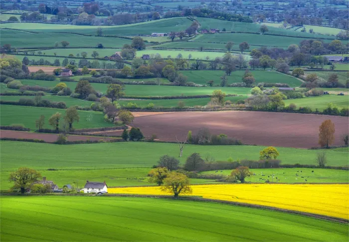 Framed Print : Farmland and agriculture near Hambleton Hill, Dorset, England, United Kingdom Framed Print : Farmland and agriculture near Hambleton Hill, Dorset, England, United Kingdom