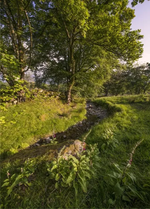 Framed Print : Farmland near snowdonia National Park, northern Wales, United Kingdom