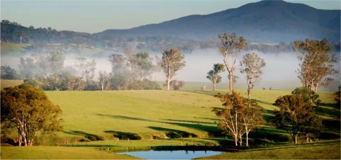 Framed Print : First light, countryside near Eden, New South Wales, Australia Framed Print : First light, countryside near Eden, New South Wales, Australia