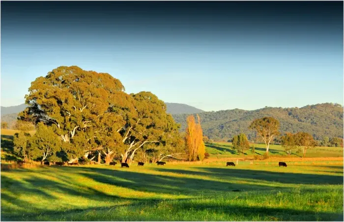 Framed Print : First light of dawn in the countryside near Mount Samaria, central Victoria Framed Print : First light of dawn in the countryside near Mount Samaria, central Victoria