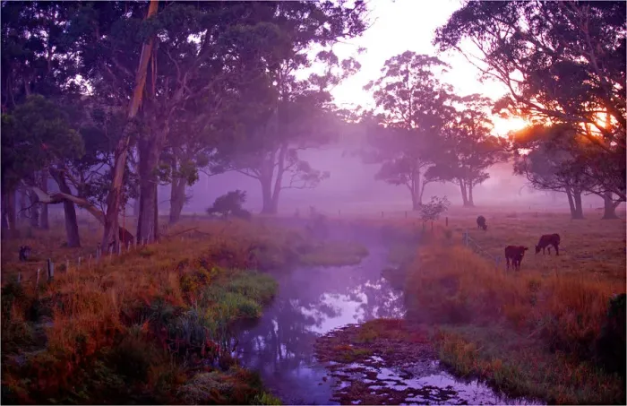 Framed Print : First light of dawn at the Dasher River near Sheffield, central Tasmania Framed Print : First light of dawn at the Dasher River near Sheffield, central Tasmania