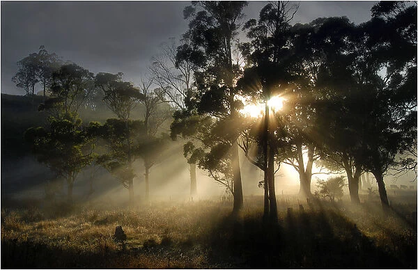 First light of Dawn, Sheffield, central Tasmania