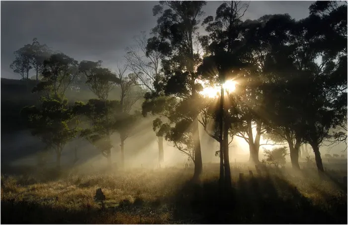 Framed Print : First light of Dawn, Sheffield, central Tasmania