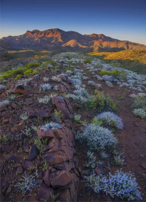 Framed Print : First light on the Glass range, Flinders Ranges national park, South Australia
