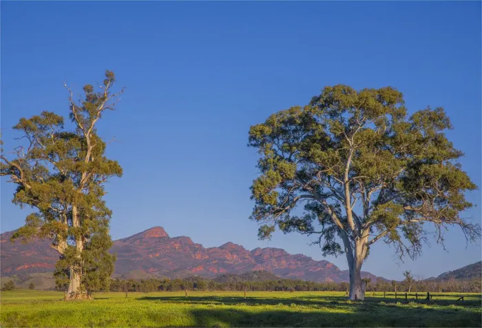 Framed Print : First light of Morning near Wilpena pound, Flinders Ranges, South Australia Framed Print : First light of Morning near Wilpena pound, Flinders Ranges, South Australia