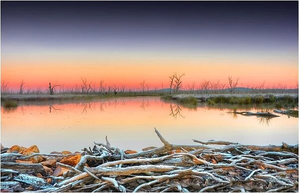 First light at Winton Wetlands, central Victoria, Australia