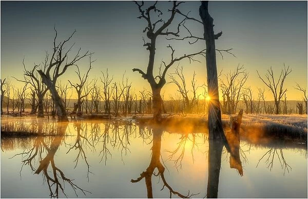 First light at Winton Wetlands, central Victoria, Australia