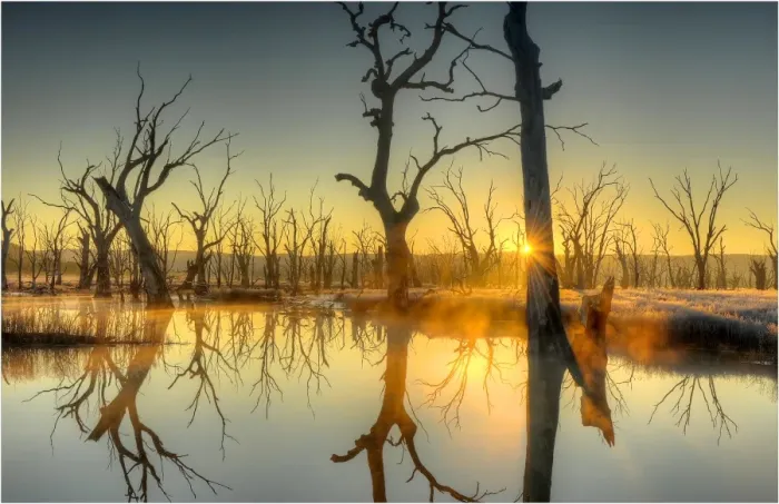 Framed Print : First light at Winton Wetlands, central Victoria, Australia