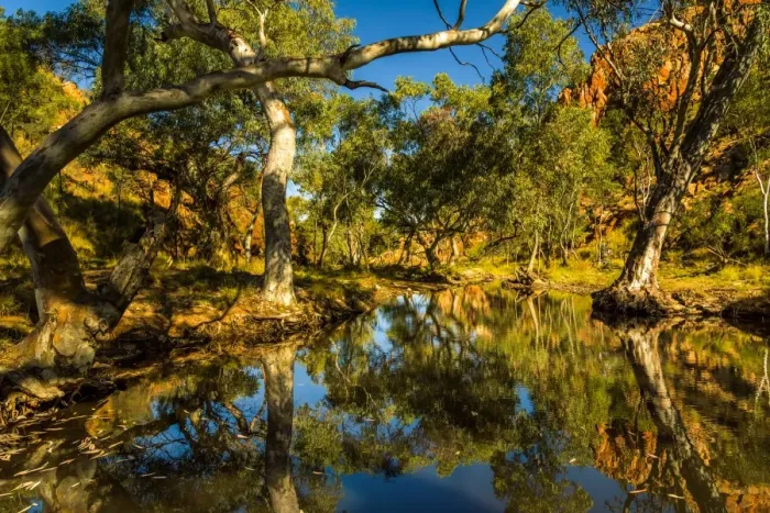 Framed Print : Fish Hole at West Macdonnell Ranges Framed Print : Fish Hole at West Macdonnell Ranges