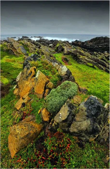 Framed Print : Fitzmaurice Bay, King Island, bass Strait, Tasmania Framed Print : Fitzmaurice Bay, King Island, bass Strait, Tasmania
