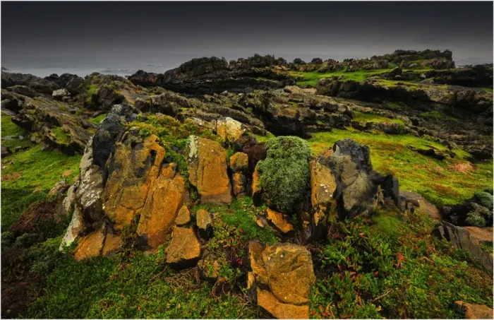 Framed Print : Fitzmaurice Bay, King Island, bass Strait, Tasmania Framed Print : Fitzmaurice Bay, King Island, bass Strait, Tasmania
