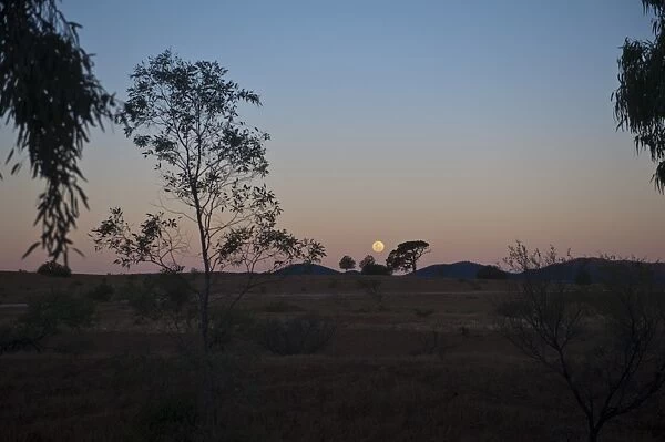 Flinders Moon