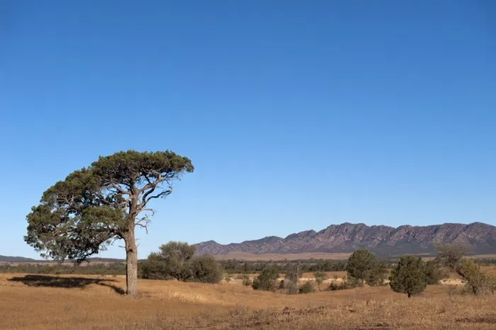 Framed Print : Flinders Ranges Framed Print : Flinders Ranges