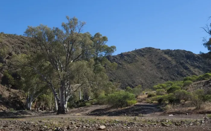 Framed Print : Flinders Ranges Framed Print : Flinders Ranges
