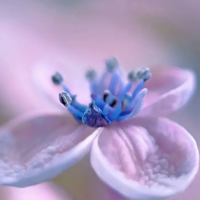 Framed Print : Floating on light Framed Print : Floating on light