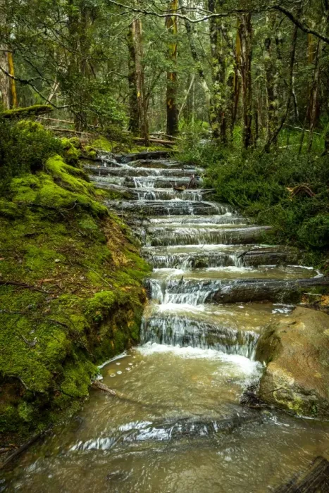 Framed Print : Flooded Overland track during have rains, Tasmania