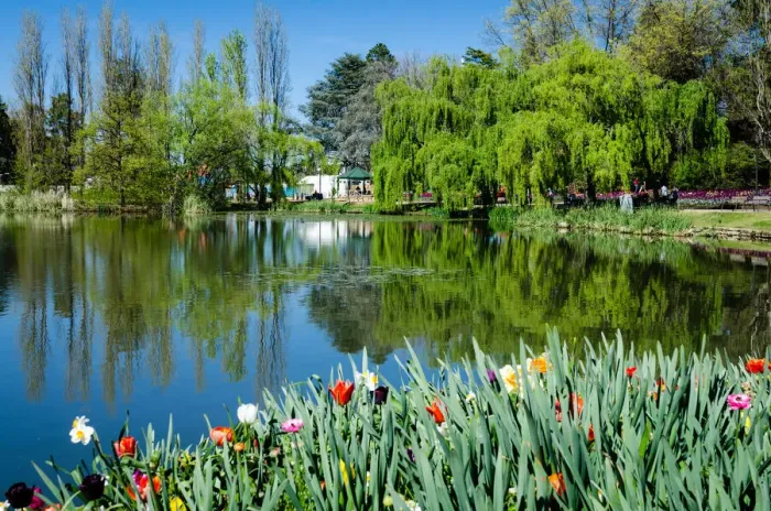 Framed Print : Floriade Gardens