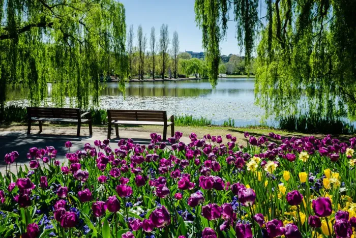 Framed Print : Floriade Spring Festival