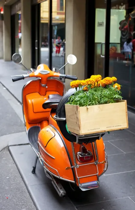 Framed Print : Flower delivery