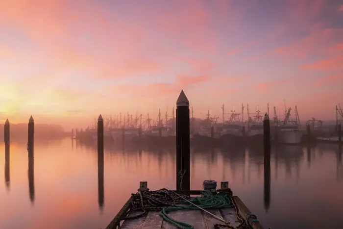 Framed Print : Fog at the commercial dock at sunrise