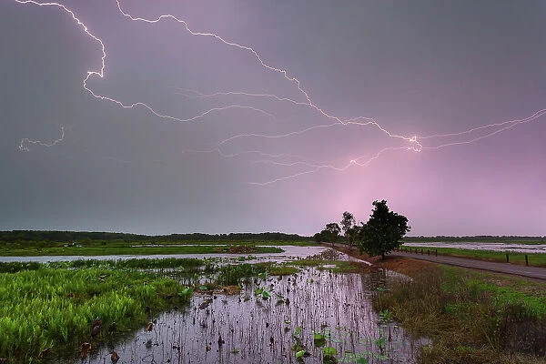Fogg Dam Lightning. Electrical thunderstorm over Fogg Dam wetlands