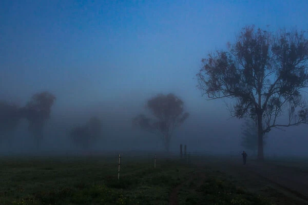 Foggy country road in the early morning, the Scenic Rim Region, Queensland, Australia