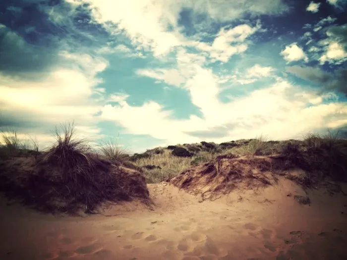Framed Print : Footprints in the sand leading over a sand dune Framed Print : Footprints in the sand leading over a sand dune