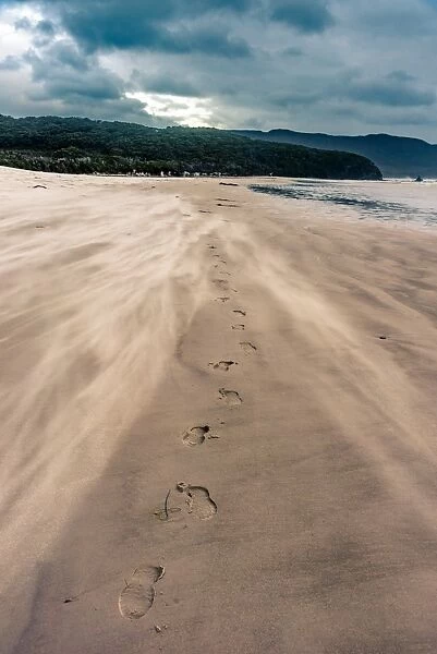 Footprints at the windy Cox Bright beach, South Coast track, Southwest Tasmania